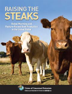 Raising the Steaks report cover