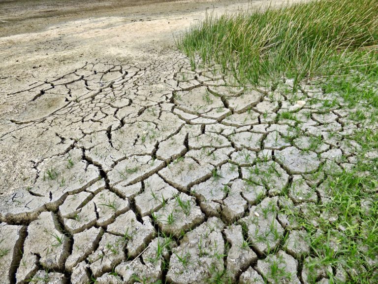 barren land with scattered grass