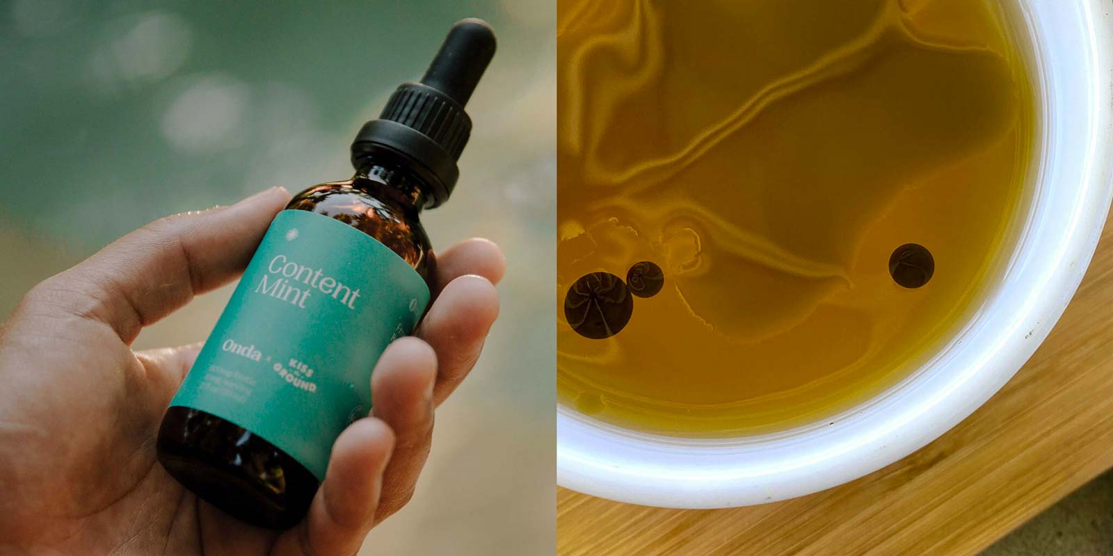 Onda Wellness Content Mint - Land to Market Gift Guide