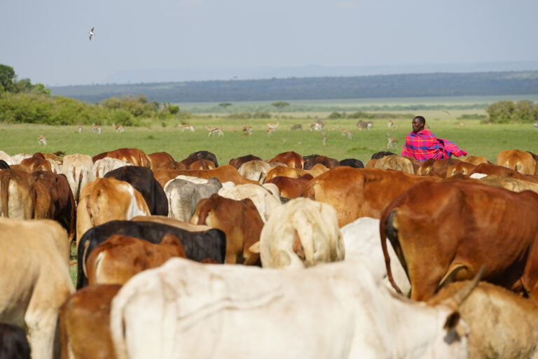 Maasai in Kenya