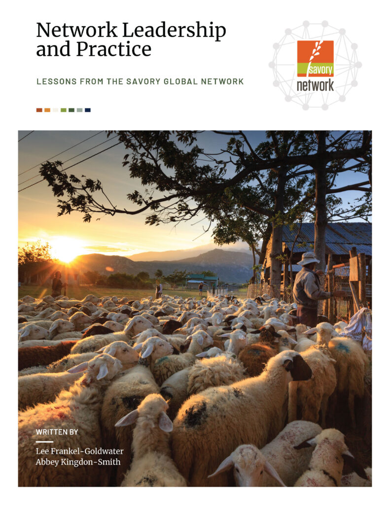 Cover of the Network Leadership and Practice whitepaper