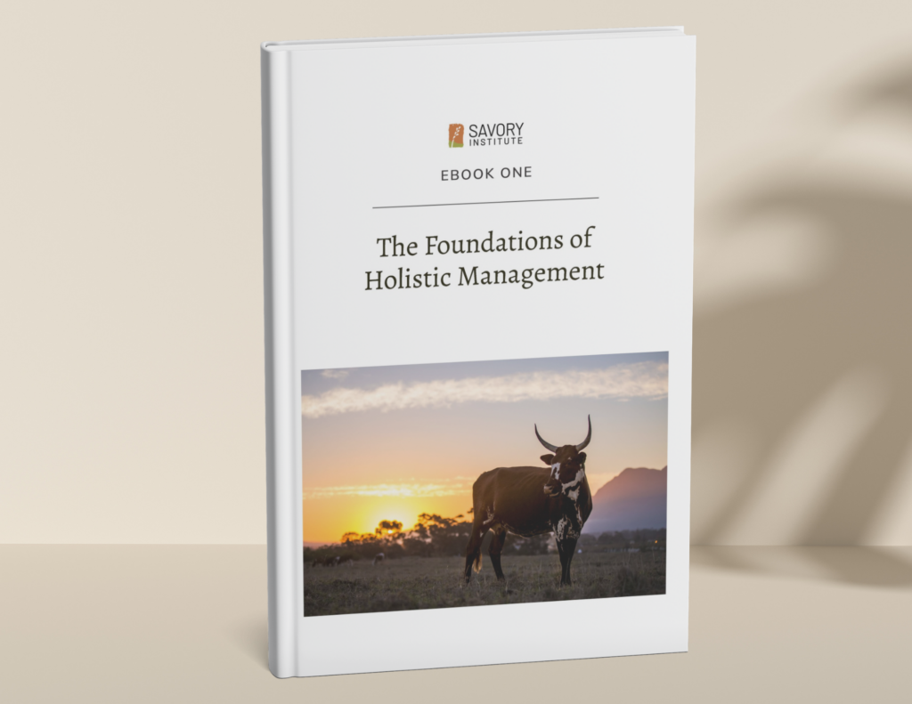 Ebook 1 - The Foundations of Holistic Management