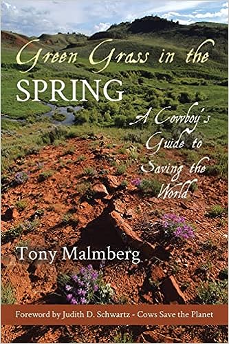 green grass in the spring book cover