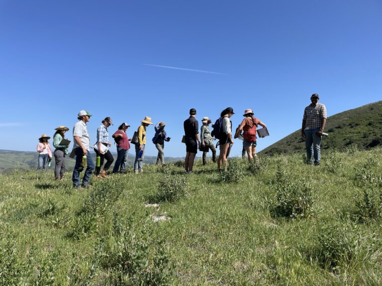 A group of people standing in a pasture